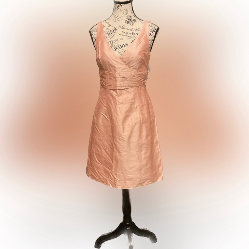 Silk Dress. NWT.